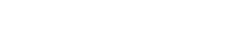 Puzzsar